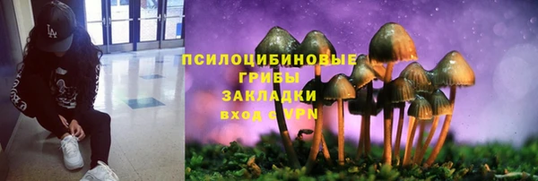 эйфоретик Дмитриев