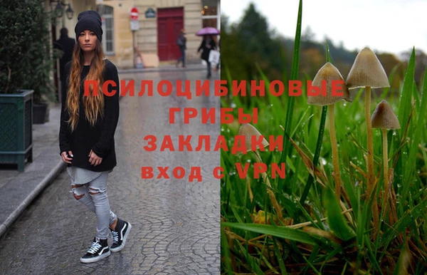 гашик Дмитровск