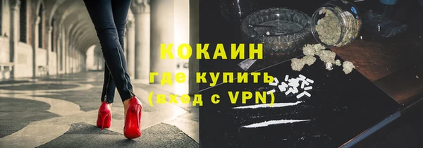гашик Дмитровск