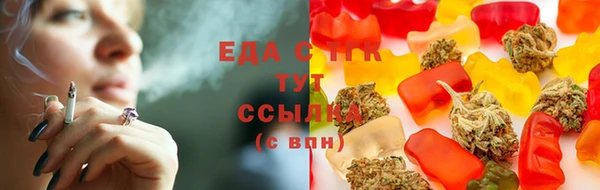 гашик Дмитровск