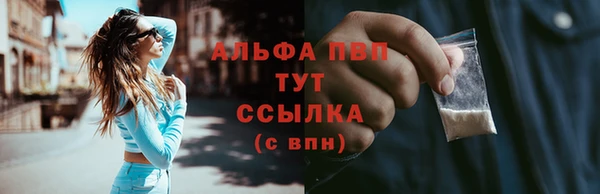 эйфоретик Дмитриев