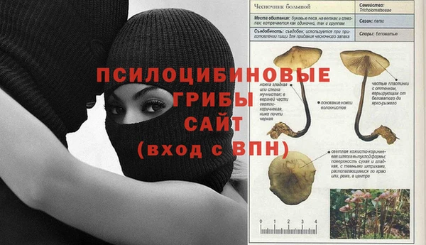 гашик Дмитровск