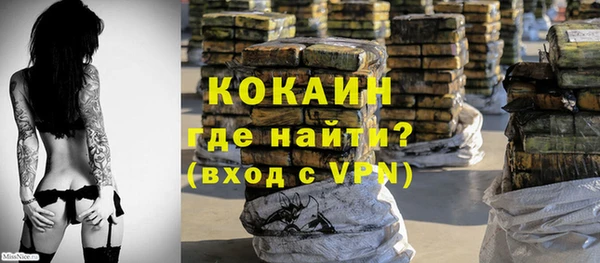 гашик Дмитровск