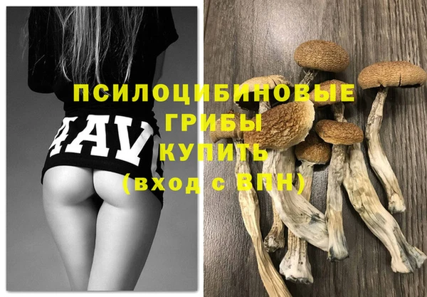 гашик Дмитровск