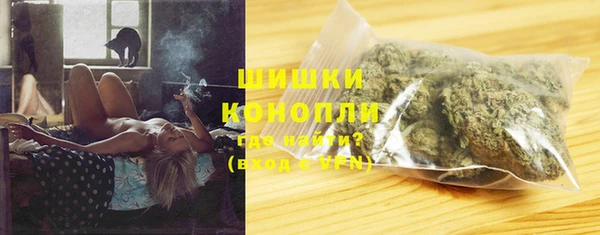 гашик Дмитровск