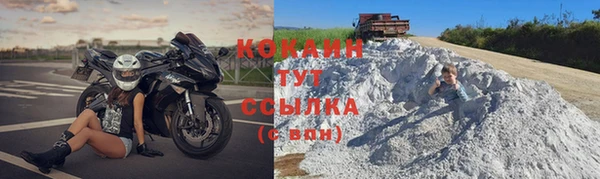 гашик Дмитровск
